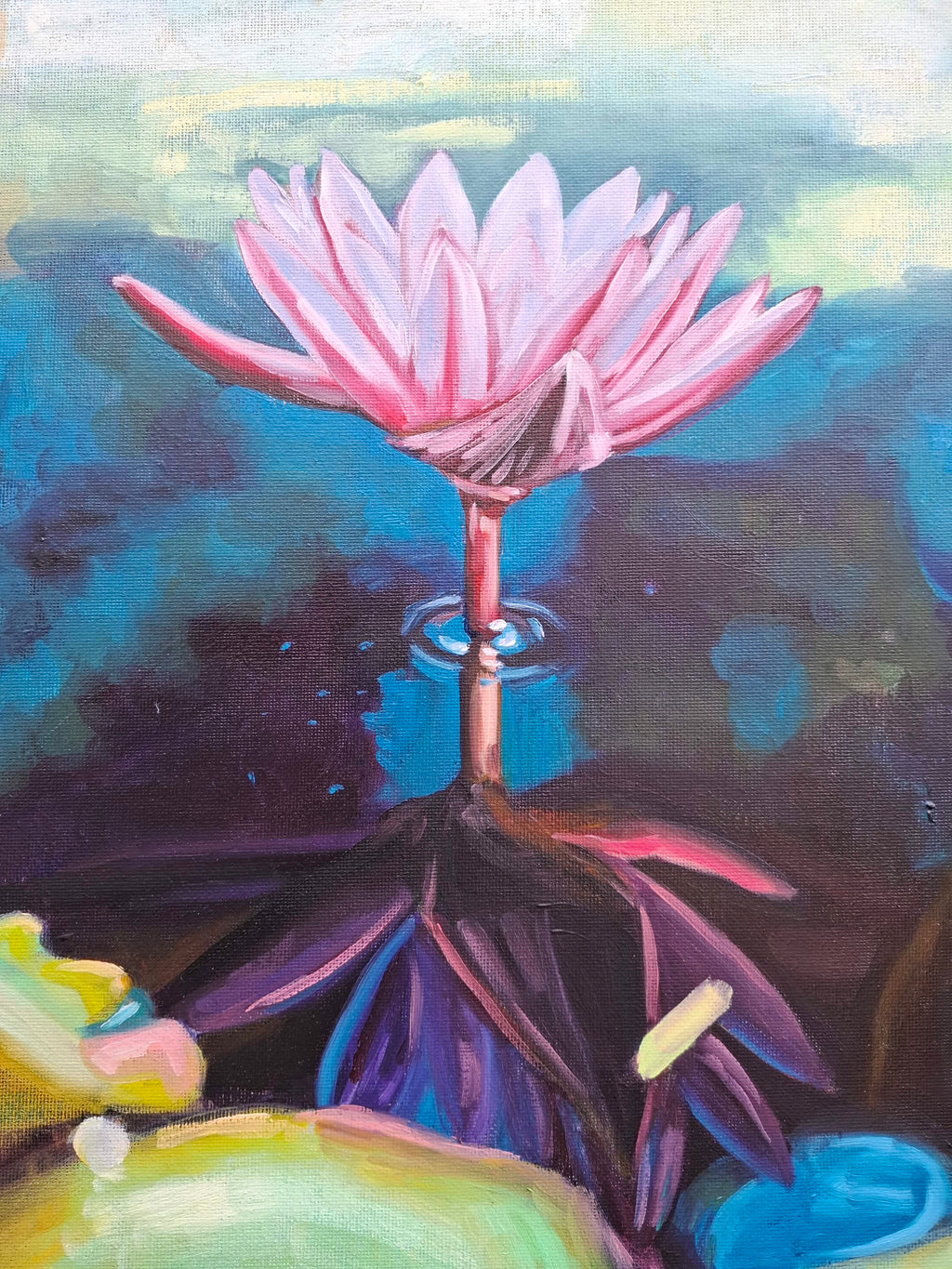 Water Lily