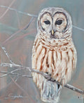 Snow Owl